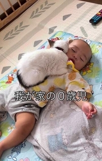 お昼寝中の10カ月息子にそっと乗っかる猫　何度おろしても戻る姿に「好きすぎて滅っ！」
