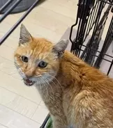 防犯カメラに何度も映っていた謎の男性←声をかけたら…涙した男性の正体と「投稿者の葛藤と決意」に「ありがとう過ぎる…」の声