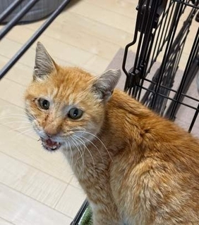 防犯カメラに何度も映ってた不審な男性←声をかけたら…涙した男性の正体と「投稿者の葛藤と決意」に「ありがとう過ぎる…」の声