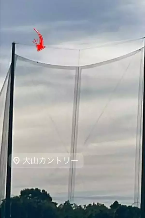 どこからか鳴き声が……「テッペンにおるよ！」と、高さ40メートルのネット頂上に子猫　営業中で悩んでいたら、客が言ってくれたのは？