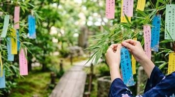 七夕に悲劇！？「お心当たりのある方は至急結び直しに行ってください」　京都芸術大学で「いちばん落ちたらあかんやつ」が…
