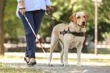 「盲導犬ユーザーを「受け入れる」鉄道は7割、宿泊業は5割　従業員の不安は「衛生面」「安全確保」」の画像1