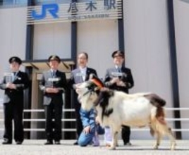 駅の「メー物」になるか！？ 京都でヤギの駅長が誕生　子どもたちと触れ合い早速「メ〜」