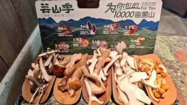 中国・雲南省名物の野生キノコ鍋が話題「マツタケより美味しい」！？　加熱不十分だと幻覚や嘔吐のリスクも