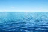 「海に漂うピンクの影…海上保安本部が「フラミンゴ」保護　ほっこり投稿にしのばせたメッセージ「もし一緒に泳いできたと思うと・・・」」の画像1