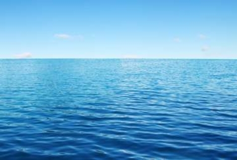 海に漂うピンクの影…海上保安本部が「フラミンゴ」保護　ほっこり投稿にしのばせたメッセージ「もし一緒に泳いできたと思うと・・・」