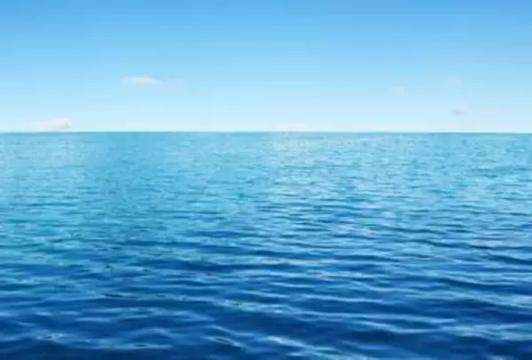 海に漂うピンクの影…海上保安本部が「フラミンゴ」保護　ほっこり投稿にしのばせたメッセージ「もし一緒に泳いできたと思うと・・・」