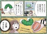 「ペットのカメの甲羅そうじ→まさかのグッズが大活躍！　セルフな動きに「理解早ァ？！」【漫画】」の画像1