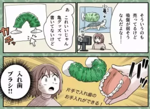 ペットのカメの甲羅そうじ→まさかのグッズが大活躍！　セルフな動きに「理解早ァ？！」【漫画】