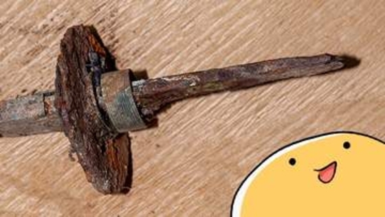 目指せ「スマートな菜園生活」　裏庭の草むらから刀らしきもの発見！　鞘は朽ちて刃部分は錆だらけ…でも黙って所持していたら銃刀法違反です