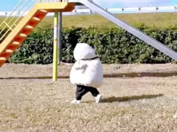 「歩く鏡餅」爆誕！？ 3COINSのコス姿でよちよち歩く1歳児の姿に「正月感×よちよち感の破壊力すごい」2万いいね