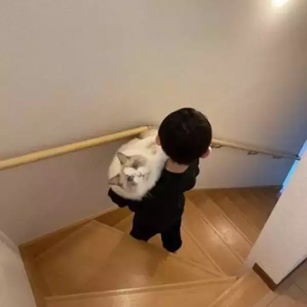 猫抱っこが上手だった小3息子、3年後のビフォーアフターに「どちらも大きくなりましたね」「猫の顔同じで笑う」