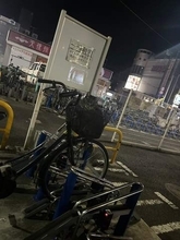 駐輪場で「自分の自転車に帰ってきたら、先客乗ってるw」その正体は…「目が光ってるの怖すぎて笑った」