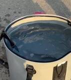 「釣り場で「無言でバケツに手を突っ込む失礼なヤツ」に遭遇！まさかの正体に「人間のやることじゃない」「マナーがなってない！許す！」」の画像1