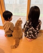 「あれから2年半…」家族が増えた写真に感動の声「時の流れを感じて泣きそう」「こういう記録本当に素敵」
