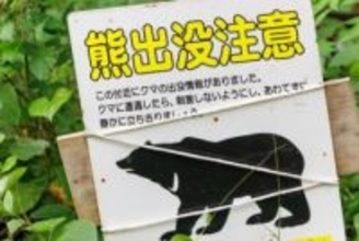6割以上が「害獣の目撃情報や被害が増えたと感じる」　害獣対策で気を付けた方がよいことは？