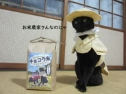 「これぞ本当のクロネコヤマト？」　黒猫が配達員風制服でキリッ　飼い主の手作りコスチュームの完成度にネット騒然