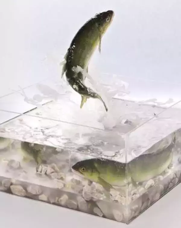 食品サンプルなのに……水しぶき、躍動感は本物以上！？　メーカーの本気に「捕まえにいきたくなる」「博物館に飾られそうですね」