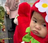 「いちご畑をよちよち歩く、小さな双子のいちごちゃん「予約販売してませんか？」「これは可愛い♡完売か…」」の画像1