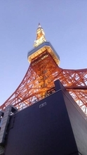 東京タワーを照らす180個の電球交換「まさか手作業とは」たった1日で…「風が吹いただけでヤバそう」