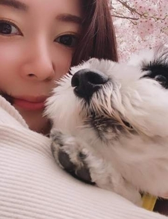 「この生活は普通じゃない」モラハラ夫に怯える愛犬を守らなければ……腹をくくった女性の再出発