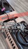 「「世の中で一番嫌い」顔を合わせば、本気で噛み合う保護犬2匹　“怖い”ものの前では、態度がガラリ…人間だけじゃない「敵の敵は味方」」の画像1