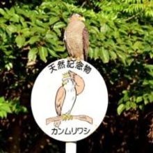 天然記念物の標識にまさかの“ご本人”「自己紹介してくれてありがとう」　奇跡の瞬間に「凄いタイミング」反響12万いいね