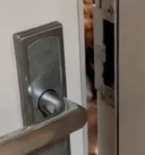 「怖い…」ドアの隙間から見てくる「ストーカー」まさかの正体とは？小さな頃はチヤホヤされ、大きくなって捨てられた…悲しい過去と愛に包まれた今