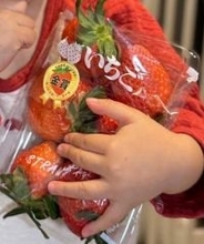 元AKBのママ、人生一おいしかったイチゴ「もう一度食べたい」　　SNSで問いかけたら、”プロのヲタク”たちが……！？