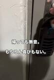 「「帰っても無音だった部屋が変わった」離婚した女性を救った子猫との出会いに反響「猫は希望そのもの」」の画像1