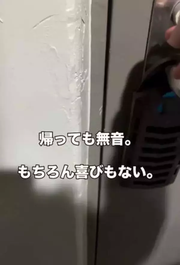 「帰っても無音だった部屋が変わった」離婚した女性を救った子猫との出会いに反響「猫は希望そのもの」