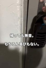 「帰っても無音だった部屋が変わった」離婚した女性を救った子猫との出会いに反響「猫は希望そのもの」