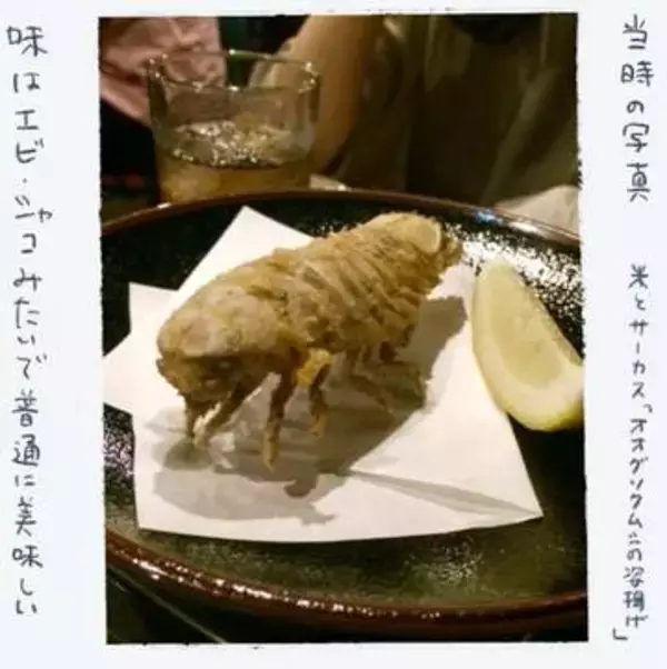 「どんな味なんだろう」 ダイオウグソクムシを見た同僚が一言　近縁種オオグソクムシの唐揚げを注文　気になるお味は？【漫画】