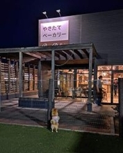 「せっかくドッグラン来たのに…」フェンス越しに犬が見つめていたのは？「美味しい匂いには負けるワンね」