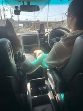 まるでドライブデート？助手席に座った犬が……「浮気の決定的瞬間」「彼女みたいww」