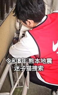 熊本地震で家屋が倒壊　愛猫と避難した先でまさかの脱走　土地勘ゼロの場所で姿を消し…再び家族のもとへ帰ることができたのか