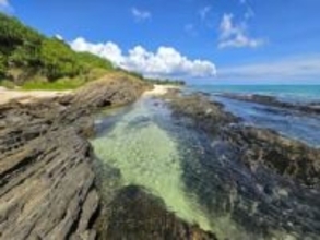 沖縄の海岸で見つけたヤドカリに衝撃　背負っていたものは…「人間が出したゴミのせいで、こんなことに」