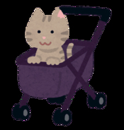 「猫」を外に連れ出すのはやめて！「人間側ではなく、猫本位でのイベントを企画してほしい」