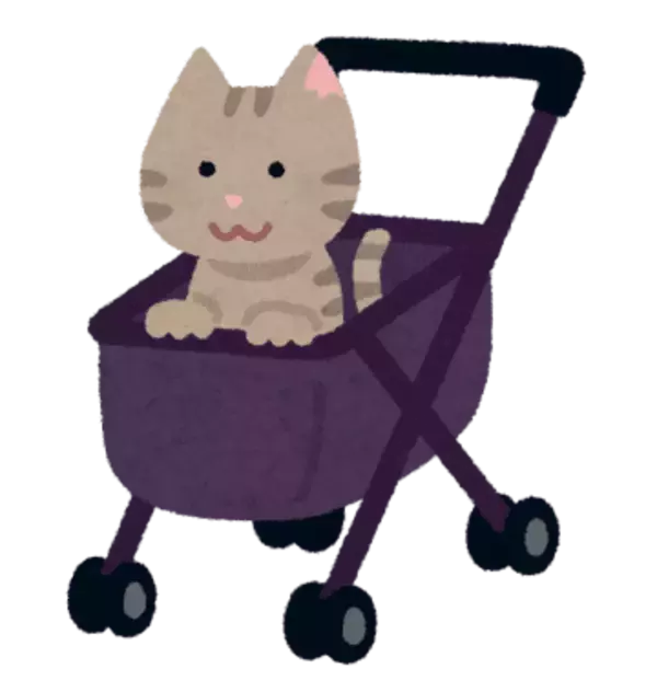 「猫」を外に連れ出すのはやめて！「人間側ではなく、猫本位でのイベントを企画してほしい」