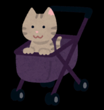 「猫」を外に連れ出すのはやめて！「人間側ではなく、猫本位でのイベントを企画してほしい」