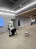 「人間 VS ヒト型ロボット VS 犬型ロボットが、かけっこ勝負！ 大学の理工学部が企画した結果は……「ギックリ腰中のじぶんと同じ」「なんて可愛い」」の画像1