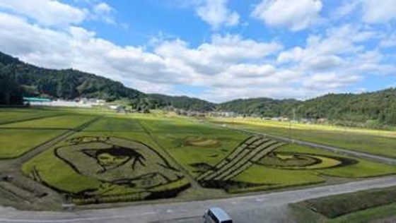 今にも飛び出してきそう…稲で描く羽生結弦さんの「バラード第1番」　宮城県角田市の「田んぼアート」まもなく見納め