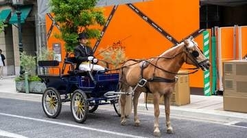 明治時代にタイムスリップ？　神戸・旧居留地を進む馬車に観光客びっくり