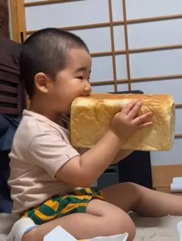 静かになったな～……2歳息子がパンどろぼうに　2斤の食パンがぶり「みんながやりたかったやつ！」「幸せそう♡」