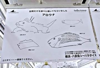 記憶を頼りに描かれた「アロワナ」がヒドイ　イグアナ、ティッシュ箱……だと？「とにかく…一度来てください」横浜・八景島シーパラダイスの電車広告