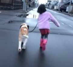 「エモすぎんか……」小さかった犬さんと7歳娘さん、5年後の成長ぶりにネット感涙「なんだか物語を感じます」