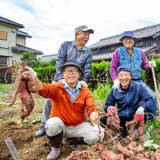 「「いずい」「さすけねぇ」「かたす」…どういう意味？47都道府県別「自県の自慢のご当地言葉」」の画像1