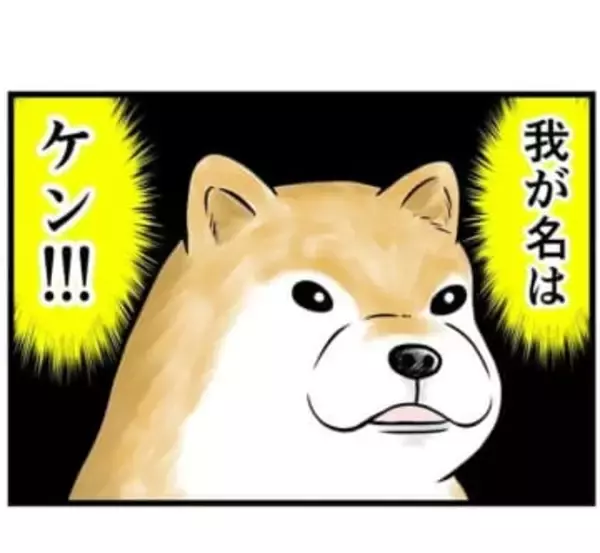 出会いは川の中…飼い主に捨てられた柴犬と家族を失った男性　1匹と1人の後ろ姿が胸を衝く【漫画】