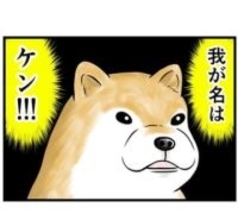 出会いは川の中…飼い主に捨てられた柴犬と家族を失った男性　1匹と1人の後ろ姿が胸を衝く【漫画】