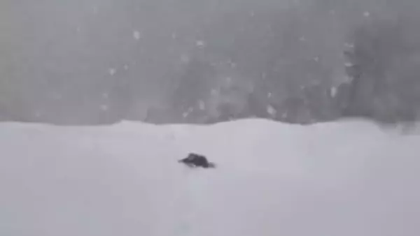 「遭難ではありません。出勤中の妻です」大雪の中、進む人影…！「映画のワンシーンに匹敵する」